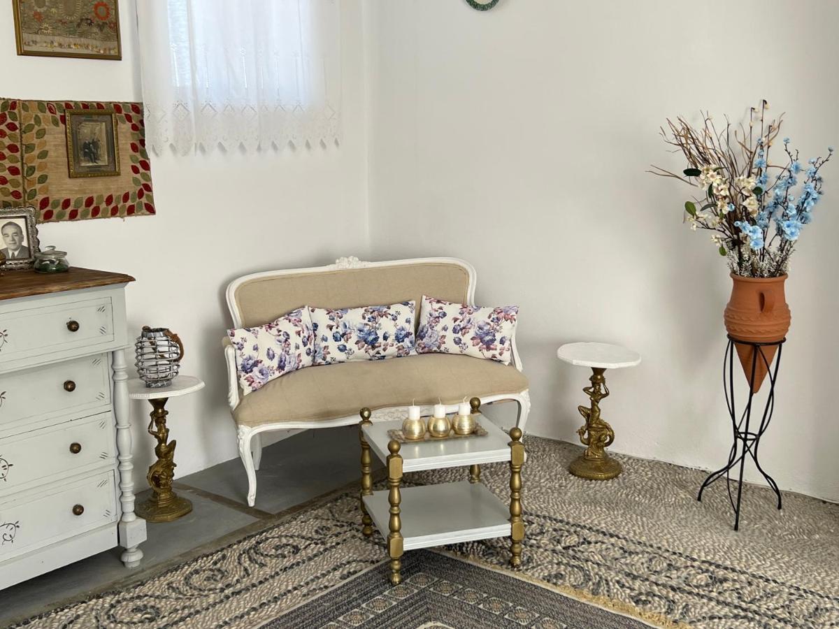 Traditional Villa Sofia Koszkinú Kültér fotó
