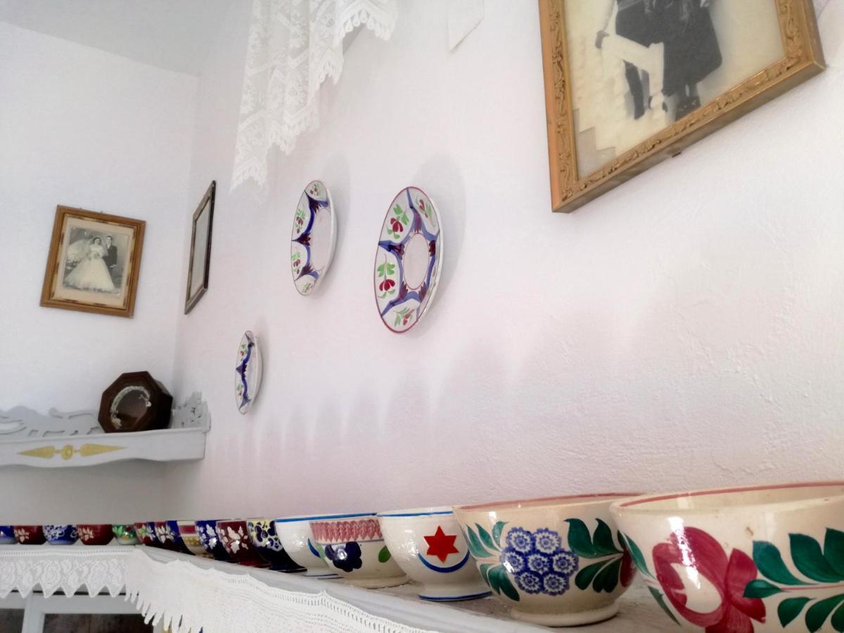 Traditional Villa Sofia Koszkinú Kültér fotó
